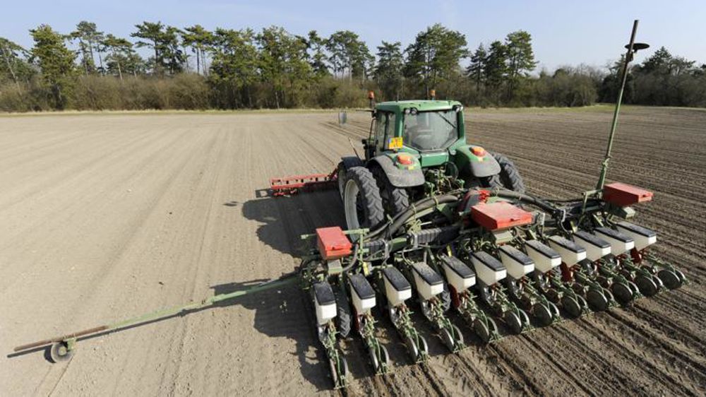 La sole de betterave est celle qui, du fait de la fin des quotas sucriers, connaîtrait la plus forte évolution, avec une hausse de 16,3 % sur un an. © Philippe Montigny